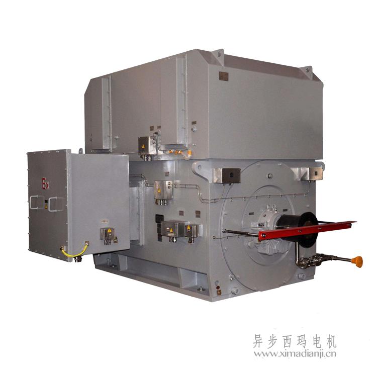 1712712679944644.jpg YAKK增安型防爆高壓電機.jpg