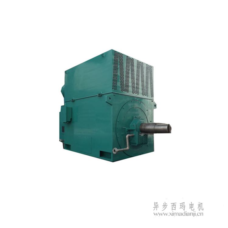 1734404412998428.jpg YR-710.jpg